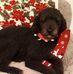 Joyce Roberts - Facebook