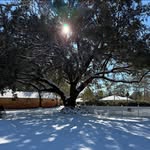 Joyce Rockwell Prestwood - @joyceprestwood - Instagram