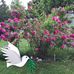 Joyce Rohrer - Facebook