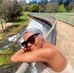 Joyce Rooks - Facebook