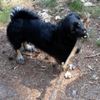 Roos_Joyce - @roos_joyce - TikTok