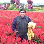 Joyce Royce Ng - @ng_hwee_miow - Instagram