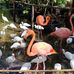 Joyce Arvoy Rudolph - Facebook