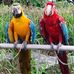 Joyce Rudolph - Facebook