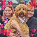 Joyce Drury - @joycedrury65 - Instagram