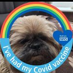 Joyce Rutter - @joyce.rutter.58 - Instagram