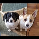 Joyce Samples - @joyce.samples - Instagram