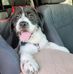 Joyce Belack Santoro - Facebook