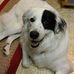 Joyce Sarver - Facebook