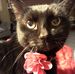 Joyce Schell - Facebook