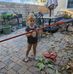 Joyce Sosko Schrock - Facebook
