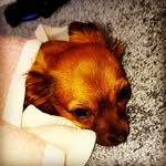 Joyce Schumann - @joyce.schumann.3785 - Instagram