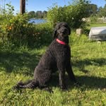 Joyce Schumann - @joyce.schumann.92 - Instagram