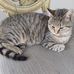 Joyce Searles - Facebook