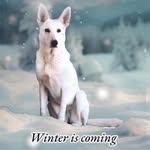 J Seibert Gouge - @joyceseibertgouge - Instagram