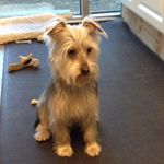 Joyce Seibert - @joy11447 - Instagram