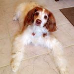 Joyce Shanks - @jasocala - Instagram