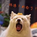 Joyce Shao - @1313b - Instagram