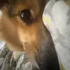 JoyceShao - @joyce_shao - TikTok
