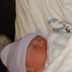 Joyce Shea Oyer - @joycesheaoyer - Instagram