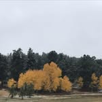 Joyce Shedd - @mtnceltgal - Instagram