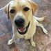 Joyce Shedden - Facebook