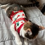 김하늘 - @joyce.shimkim - Instagram
