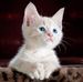 Joyce Siebert - Facebook