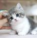Joyce Sierra - Facebook