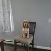 Joyce Sikes - @joyce.sikes5 - TikTok