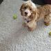 Joyce Sikes - Facebook
