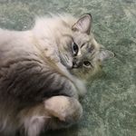 Joycelyn Sikes - @joycelynsikes - Instagram