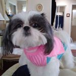 Joyce Milbier Silverman - @joyce.silverman.1942 - Instagram