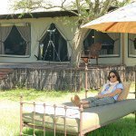 Joyce Silverman - @joyce.silverman - Instagram