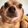 Joyce Simon523 - @joycesimon11 - TikTok