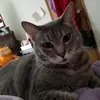 Joyce Simon - @joyce.simon38 - TikTok