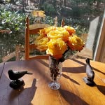 Joyce Simpson - @joycesimpson9665 - Instagram