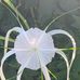 Joyce Slusher - Facebook