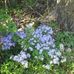 Joyce Slusser - Facebook