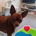Joyce Snelling - Facebook