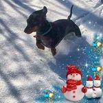 @joycesorrell2023 - Instagram