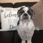 Joyce Southern - @joyce0151 - Instagram