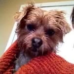 Joyce Sowers - @sowers3877 - Instagram