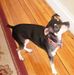 Joyce Spalding - Facebook