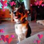 Joyce Speer - Facebook