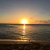 Joyce Speer - @joyce.speer - TikTok
