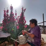 Joyce Spell - @gjspell - Instagram