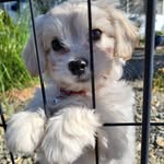 Joyce Sperling - @mosperling - Instagram