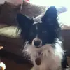 Joyce Sperling - @joycesperling - TikTok