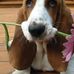 Joyce Spiller - Facebook